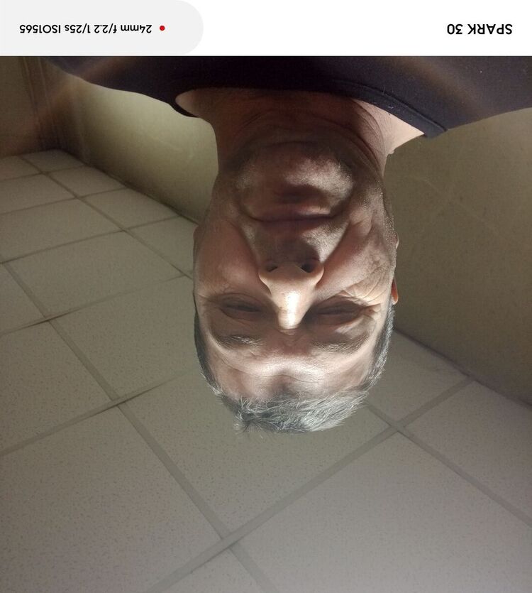  49364120  , 62 ,    