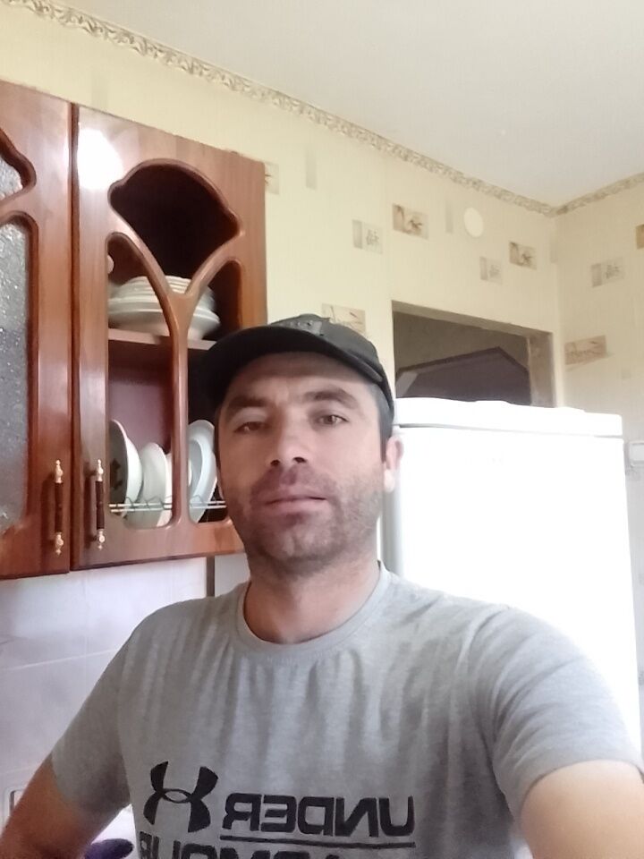  27898460  , 37 ,    