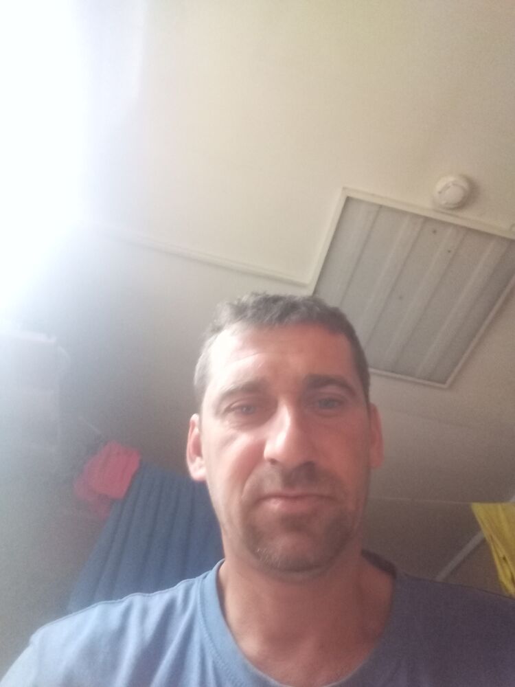  28381550  , 41 ,    