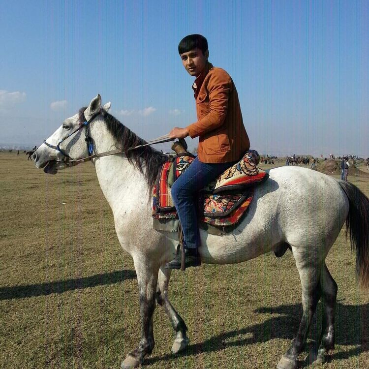  ,   BAHA, 37 ,   
