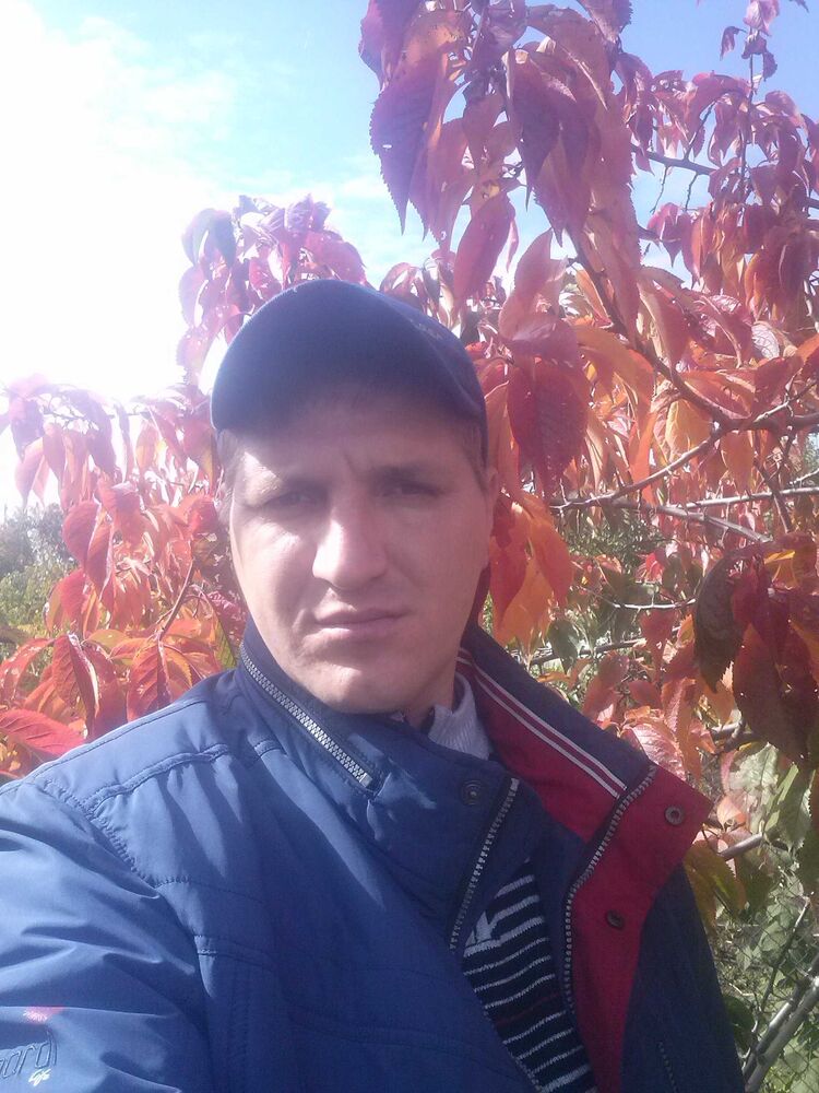 ���� 23353490 ������� ������, 44 ����, ���� ���������� � �������������