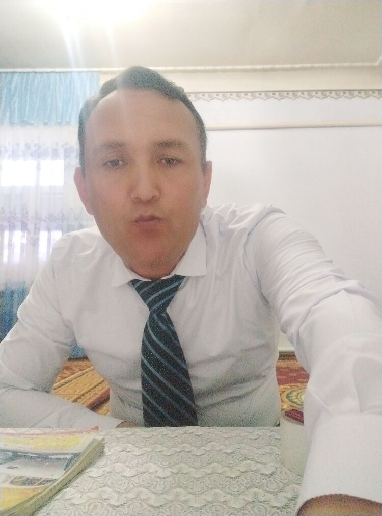  33667830  , 38 ,    