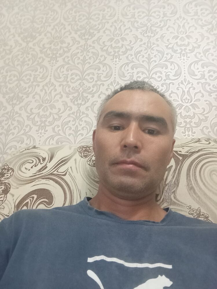  44331940  , 45 ,    