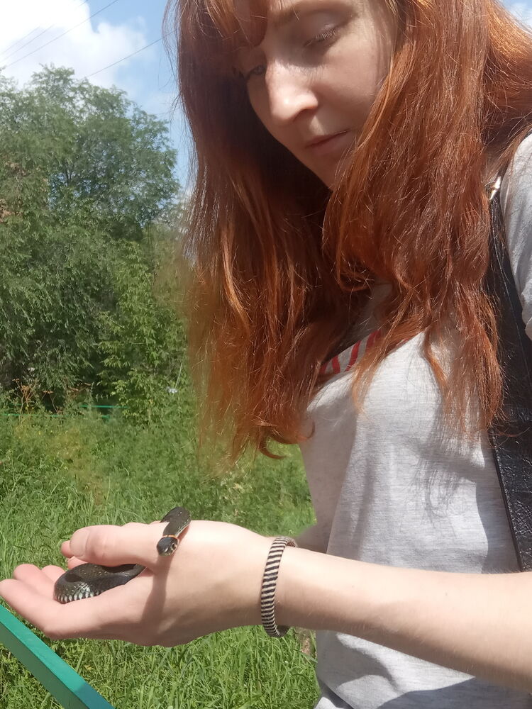 ���� 23938020 ������� ����, 34 ����, ���� ���������� � �����������