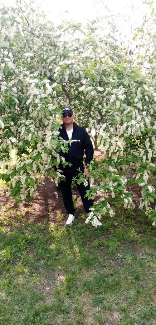 ���� 43791710 ������� ����, 40 ���, ���� ���������� � �����������