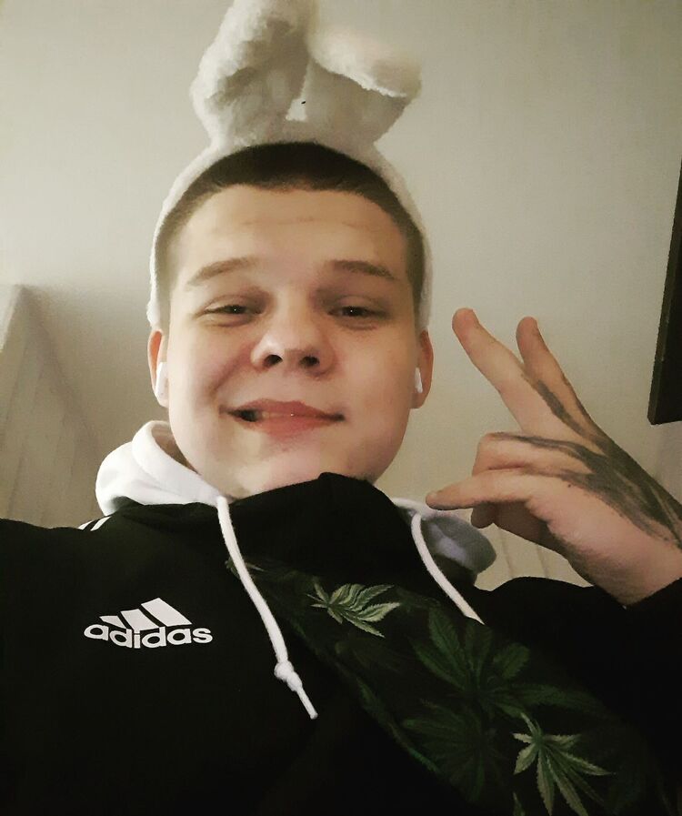  28268160  , 21 ,    