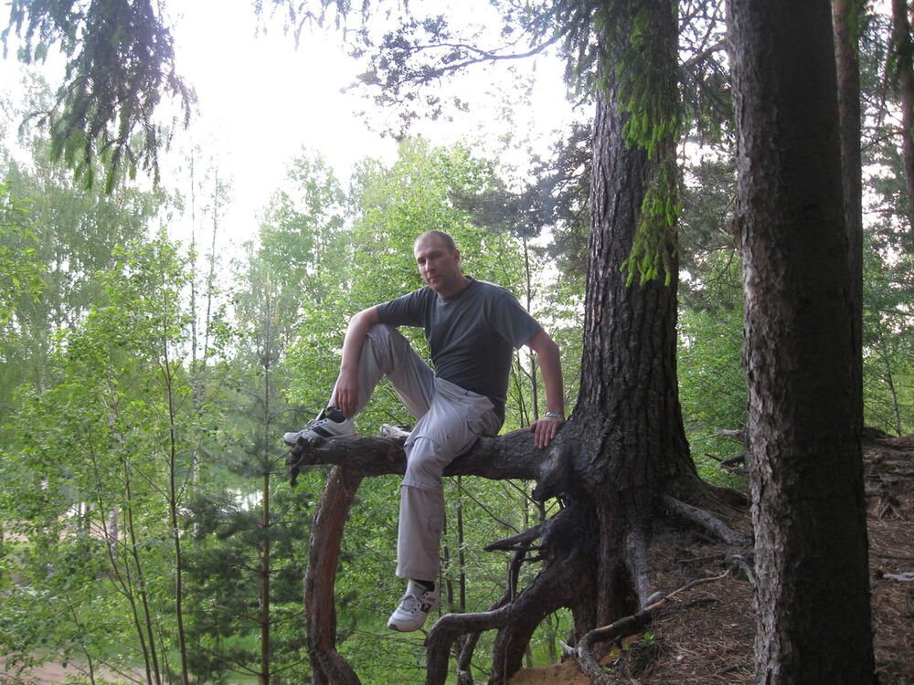 ���������� �����������, ���� ������� �������, 44 ����, ������������ ��� ������, ����� � ���������, c�������� ���������