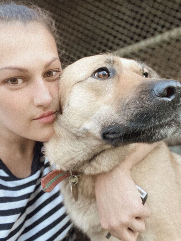 ���������� ������, ���� ������� �������, 39 ���, ������������ ��� ������, ����� � ���������, c�������� ���������, ���������