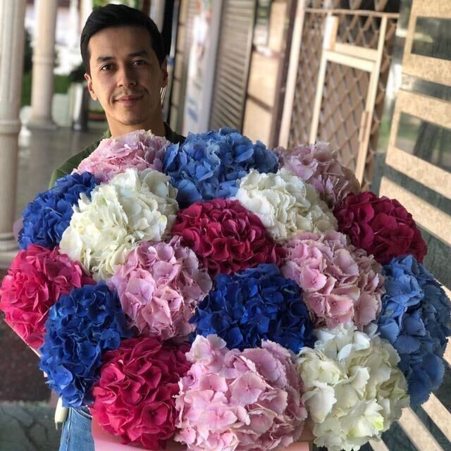 ���� 24806330 ������� Salox, 31 ���, ���� ���������� � ��������