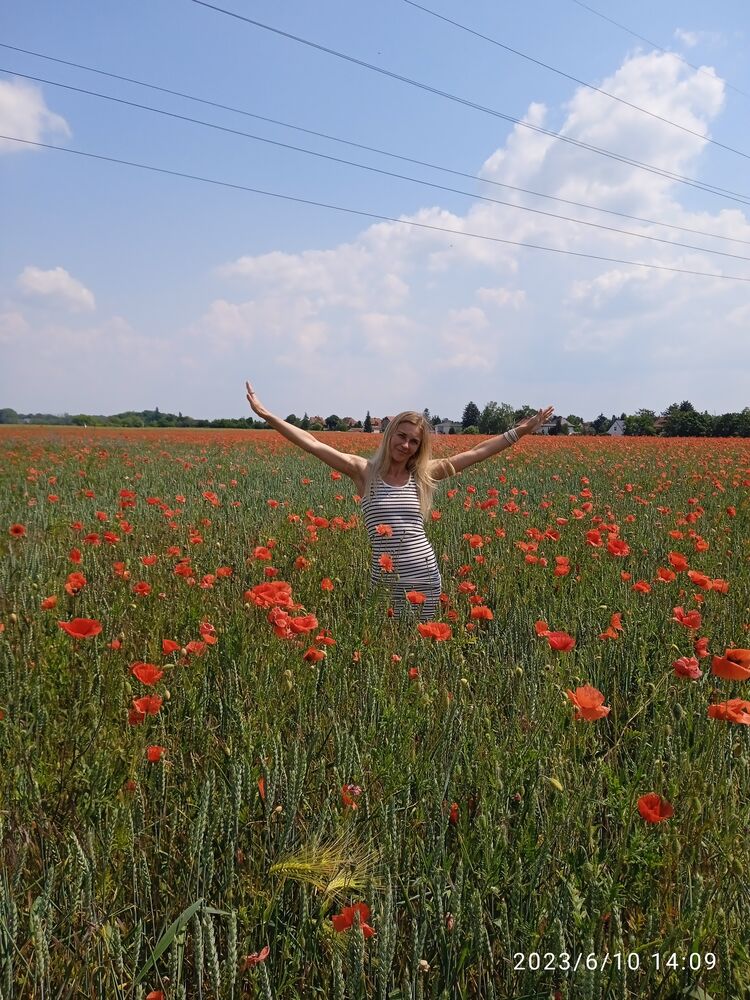  Ammerndorf,   , 40 ,   ,   