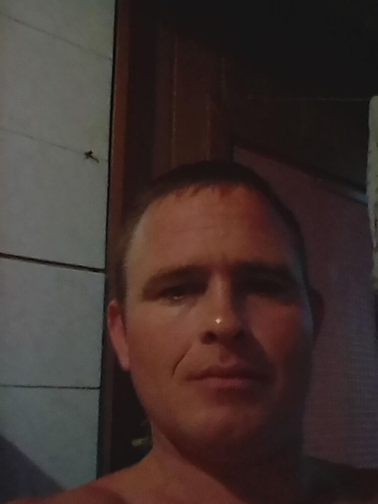  43176980  , 38 ,    
