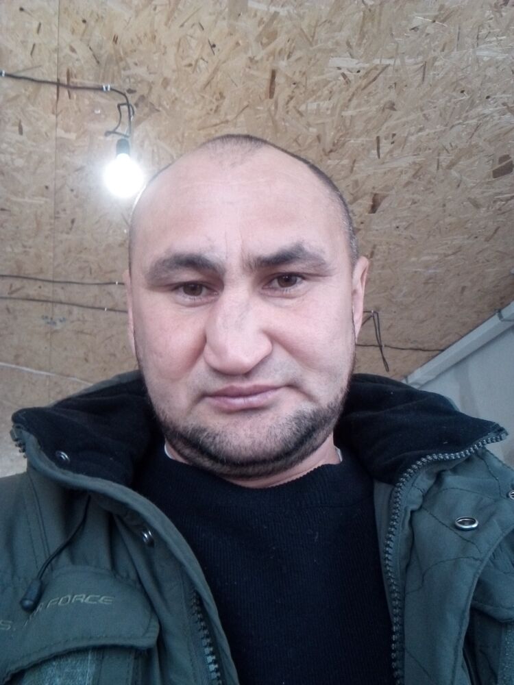 ���� 31419020 ������� ������, 44 ����, ���� ���������� � �������