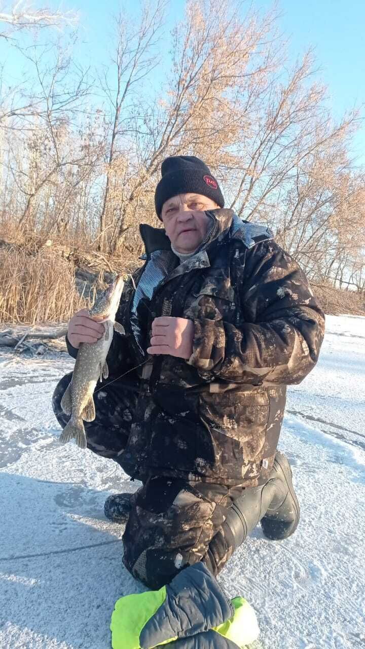 ���� 55036330 ������� �������, 54 ����, ���� ���������� � ���������