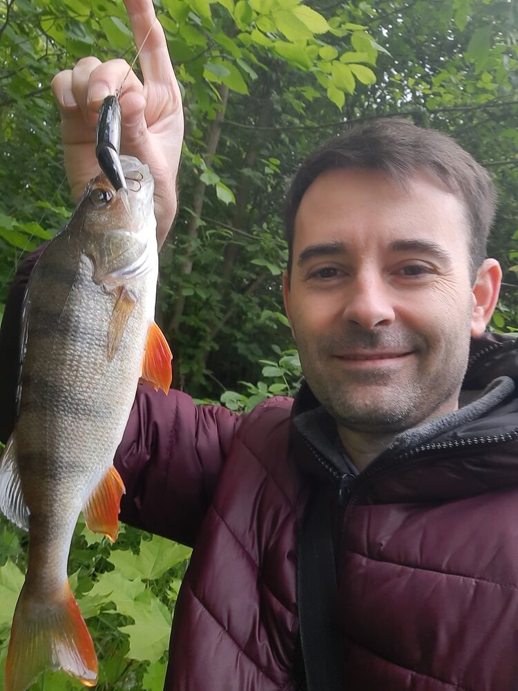 ���� 24856230 ������� ������, 46 ���, ���� ���������� � ������