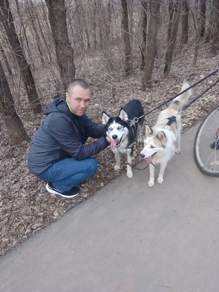 ���������� ����, ���� ������� �����, 39 ���, ������������ ��� ������, ����� � ���������