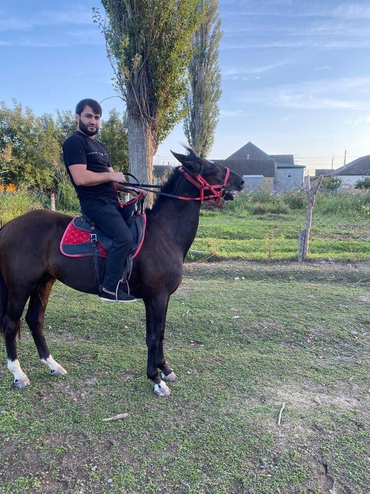 ���� 44161280 ������� �����, 30 ���, ���� ���������� � ������