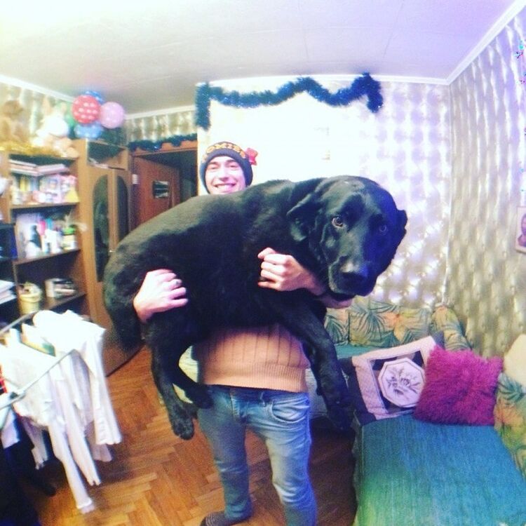 ���� 19366150 ������� ���������, 36 ���, ���� ���������� � ������