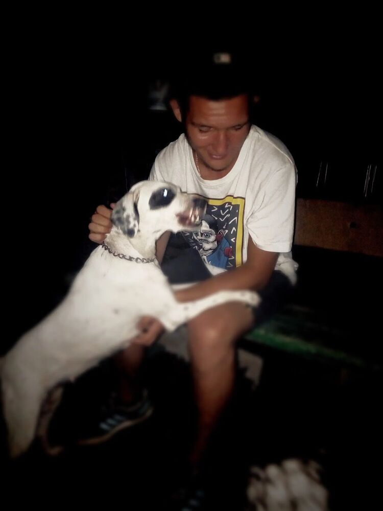 ���������� ���������, ���� ������� �������, 27 ���, ������������ ��� ������, ����� � ���������