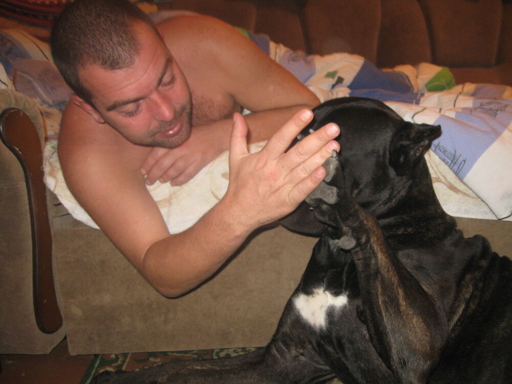  ,   IGOR, 52 ,   ,   , c , 
