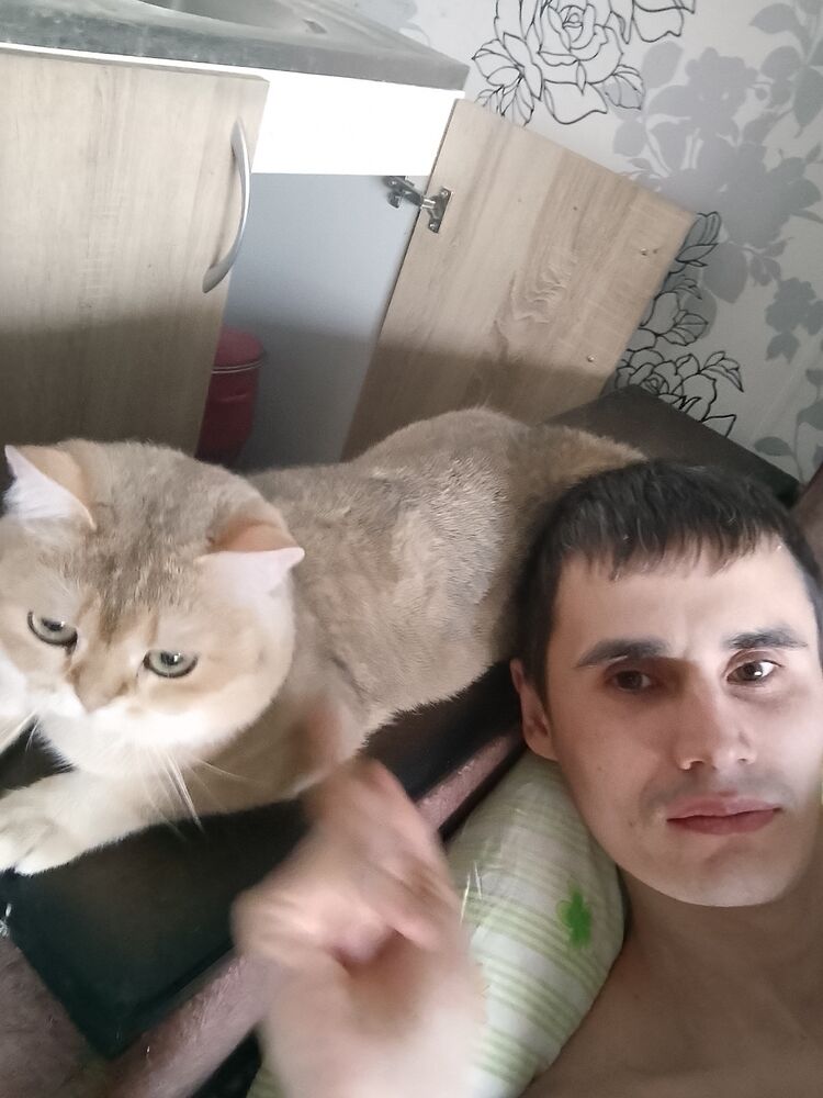 ���������� ���������, ���� ������� ��������, 32 ����, ������������ ��� ������, ����� � ���������, c�������� ���������