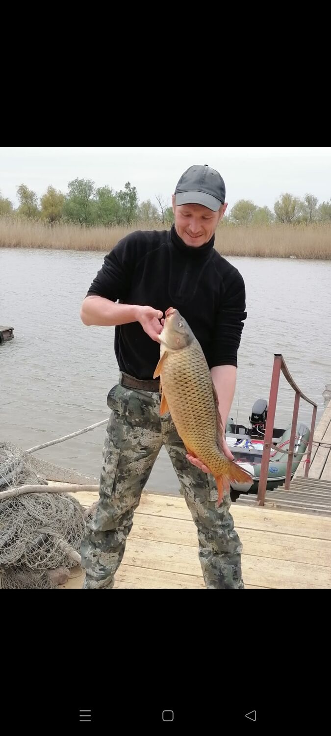 ���������� ����������, ���� ������� �������, 35 ���, ������������ ��� ������, ����� � ���������, c�������� ���������, ���������