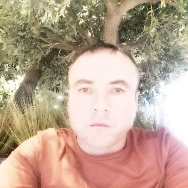  34373900  , 39 ,    