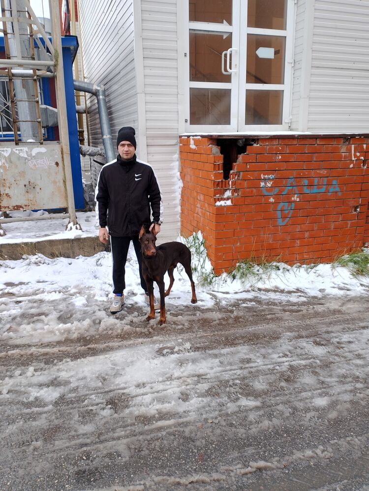 ���� 54872750 ������� ������, 35 ���, ���� ���������� � �������