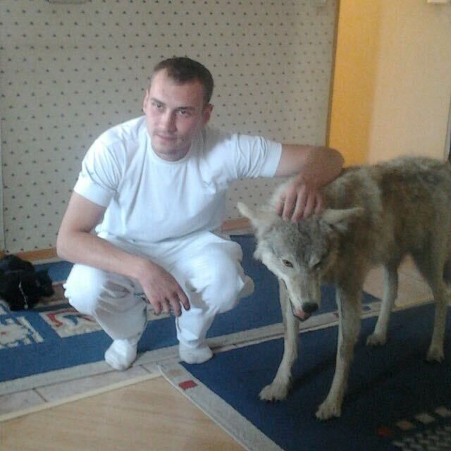 ���� 34393440 ������� ��������, 37 ���, ���� ���������� � ������