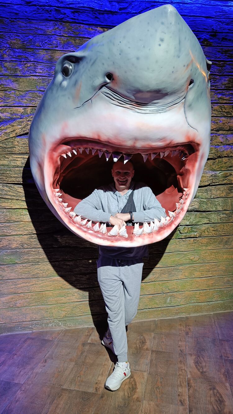 ���������� �������, ���� ������� �����, 29 ���, ������������ ��� ������, ����� � ���������