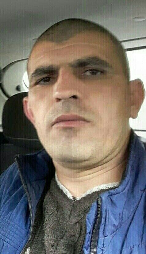 ���� 26328230 ������� Bingo, 42 ����, ���� ���������� � ���������