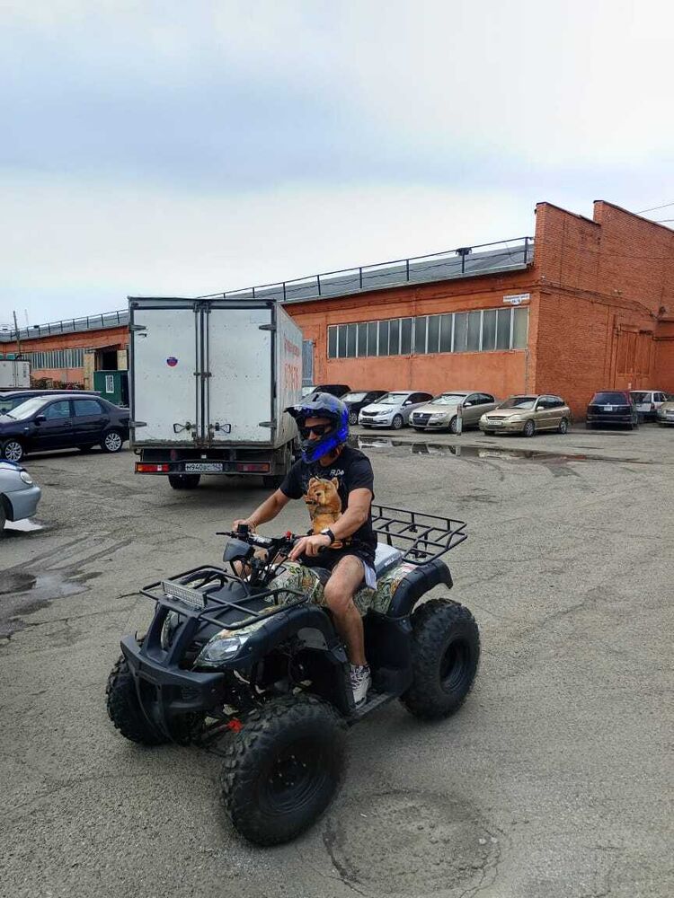 ���������� �����������, ���� ������� Alexey, 45 ���, ������������ ��� ������, ����� � ���������, c�������� ���������, ���������