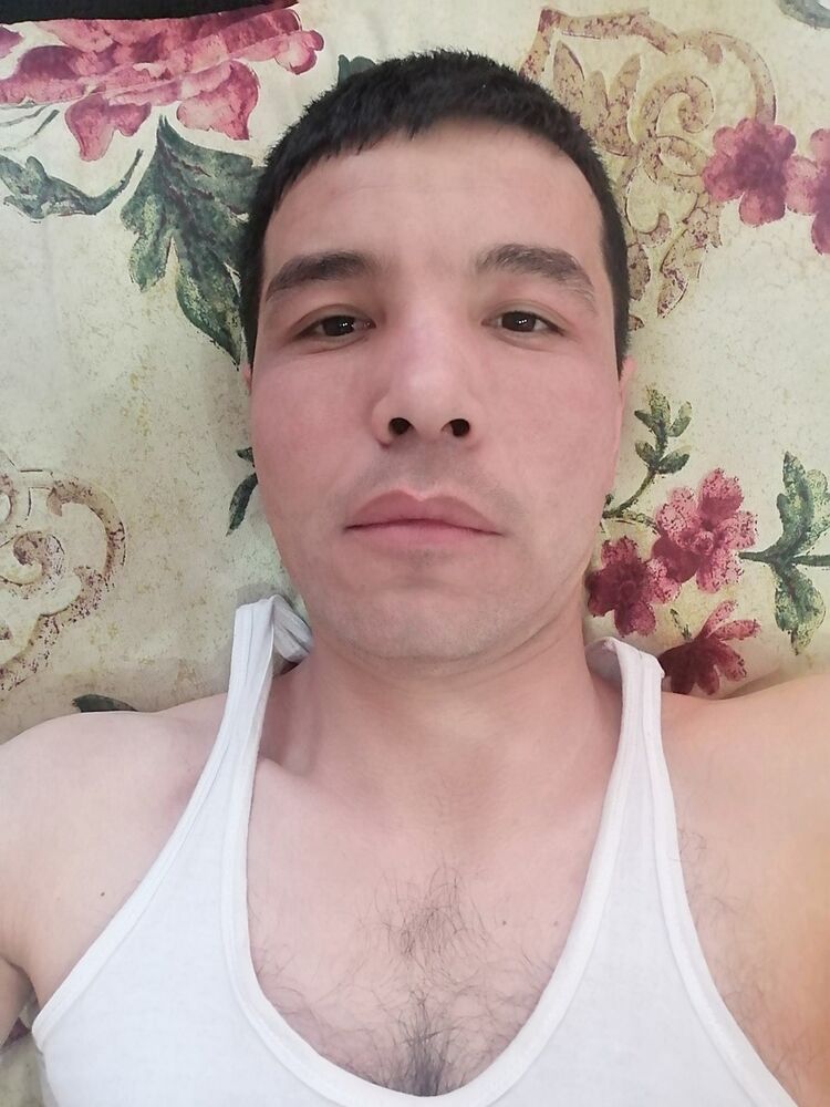 ���� 16249440 ������� Sherdor, 39 ���, ���� ���������� � ��������