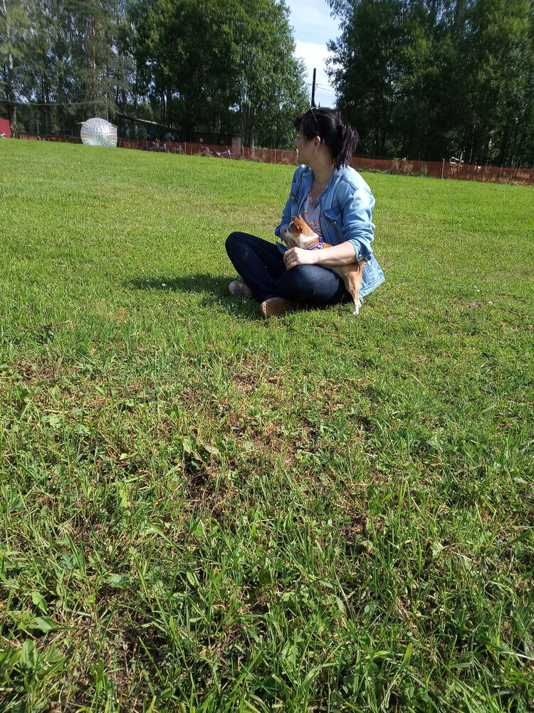 ���� 17416200 ������� �����, 43 ����, ���� ���������� � �����-����������