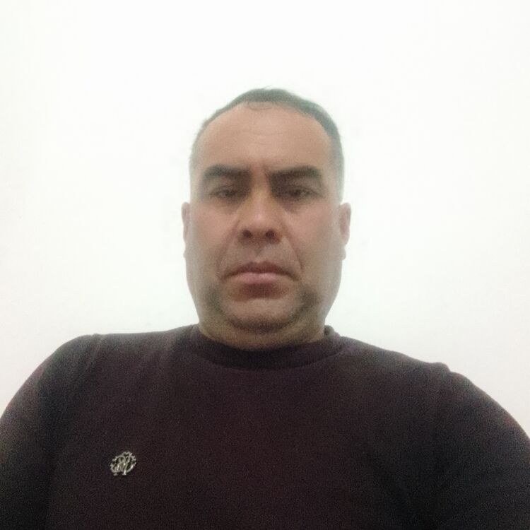 ���� 56213680 ������� ����, 43 ����, ���� ���������� � ��������