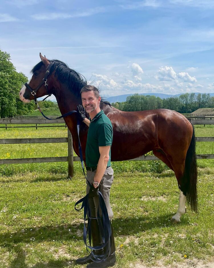 ���������� ������, ���� ������� ������, 41 ���, ������������ ��� ������, ����� � ���������, c�������� ���������, ���������