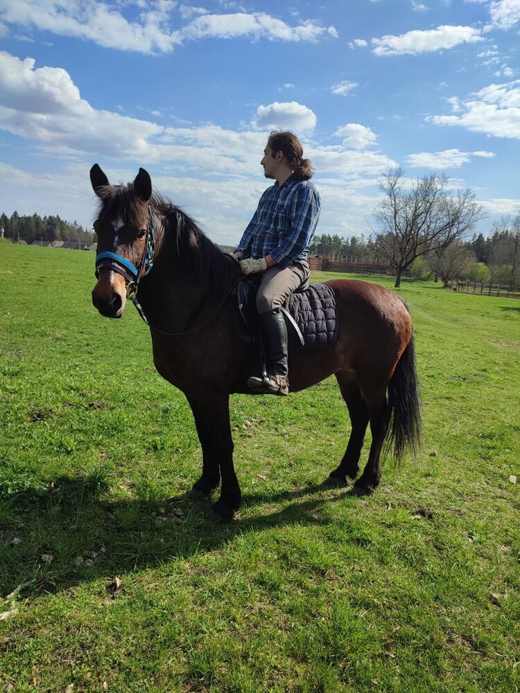 ���� 40265920 ������� ����, 35 ���, ���� ���������� � ������