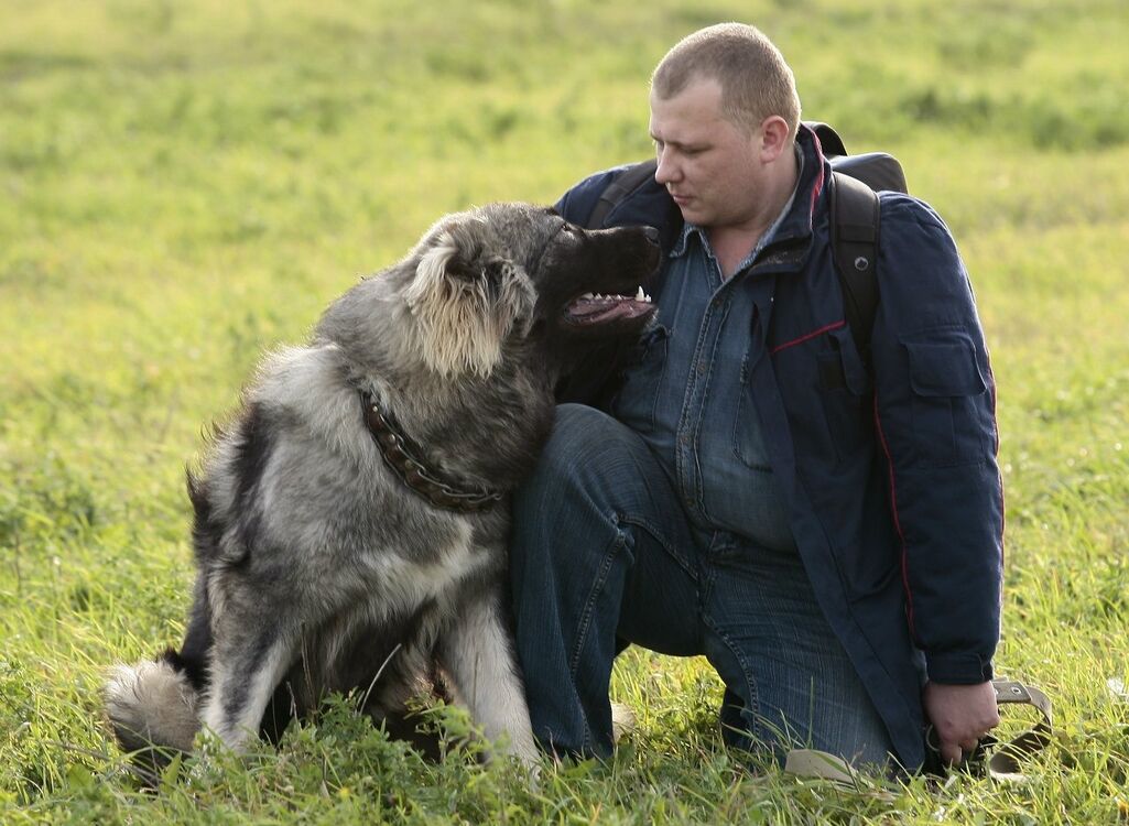 ���� 23927490 ������� �����, 44 ����, ���� ���������� � ������