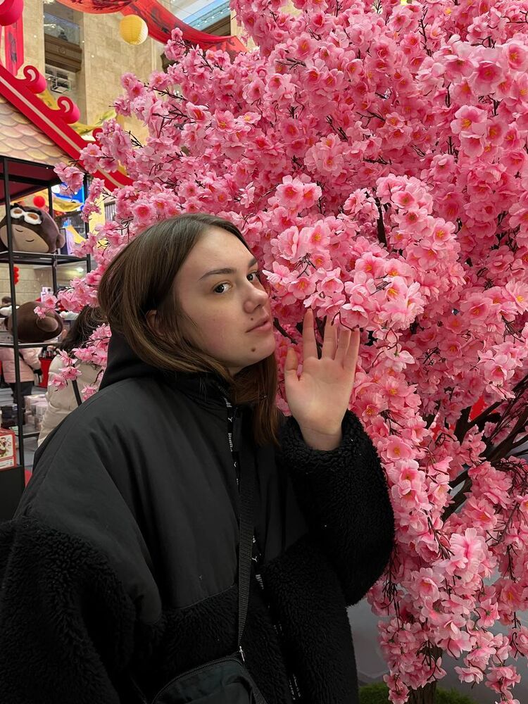 ���������� ������, ���� ������� ������, 24 ����, ������������ ��� ������, ����� � ���������