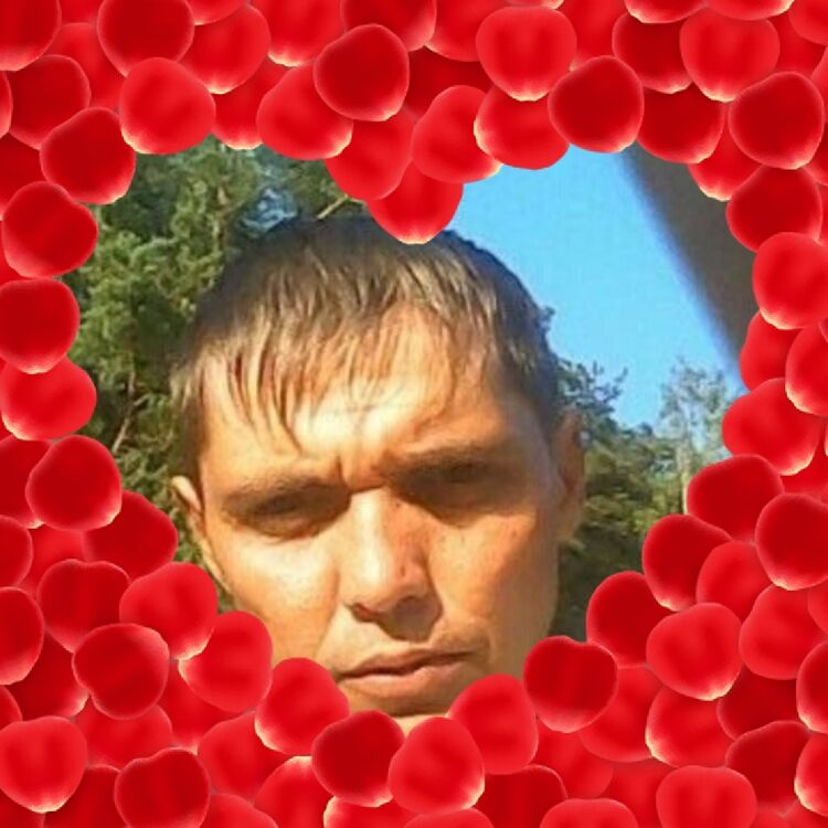  45330610  , 46 ,    