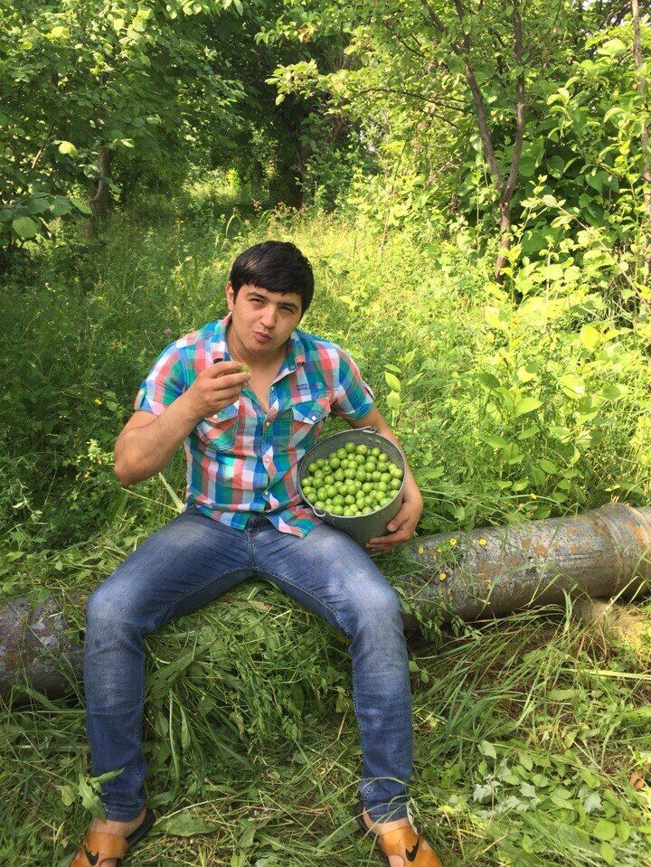  ,   , 33 ,   ,   