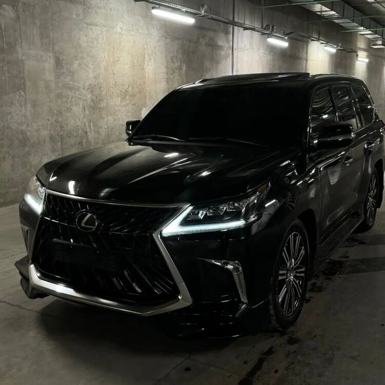 ���� 55653850 ����� �����, 24 ����, ���� ���������� � ��������