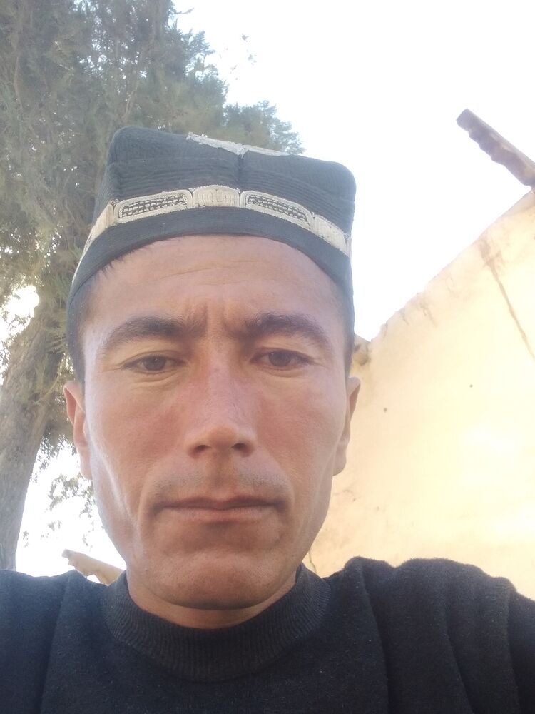  33207880  , 36 ,    -