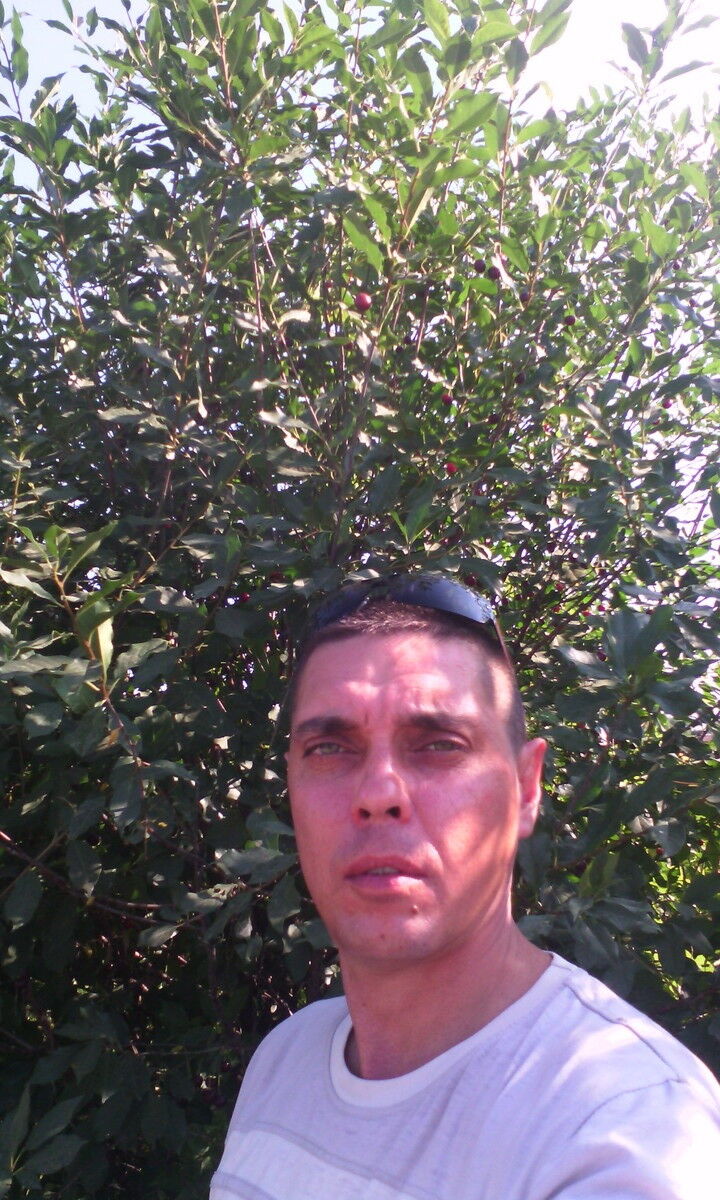  ,   Dmitriy, 45 ,   ,   , c 