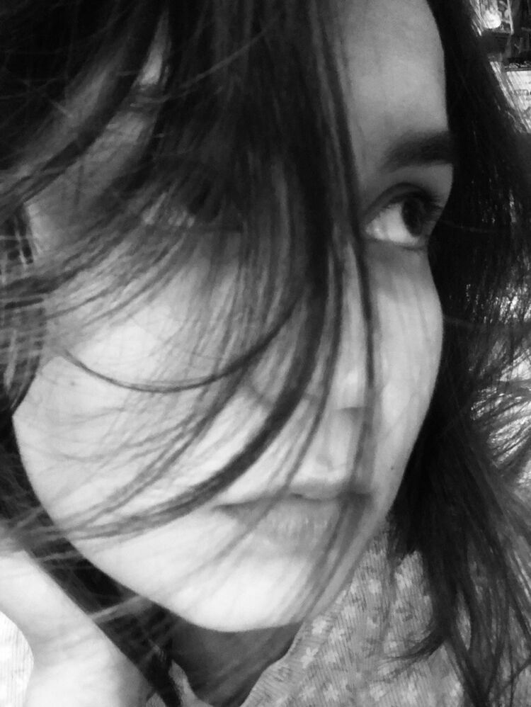  53955940  , 23 ,    -