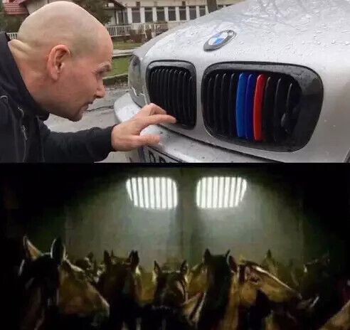  26301860  Shuhratbek, 36 ,    