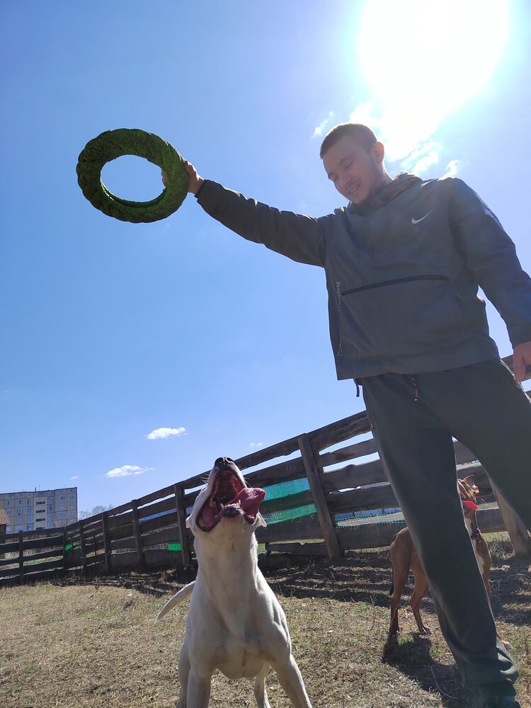 ���� 35027940 ������� ��������, 29 ���, ���� ���������� � ��������