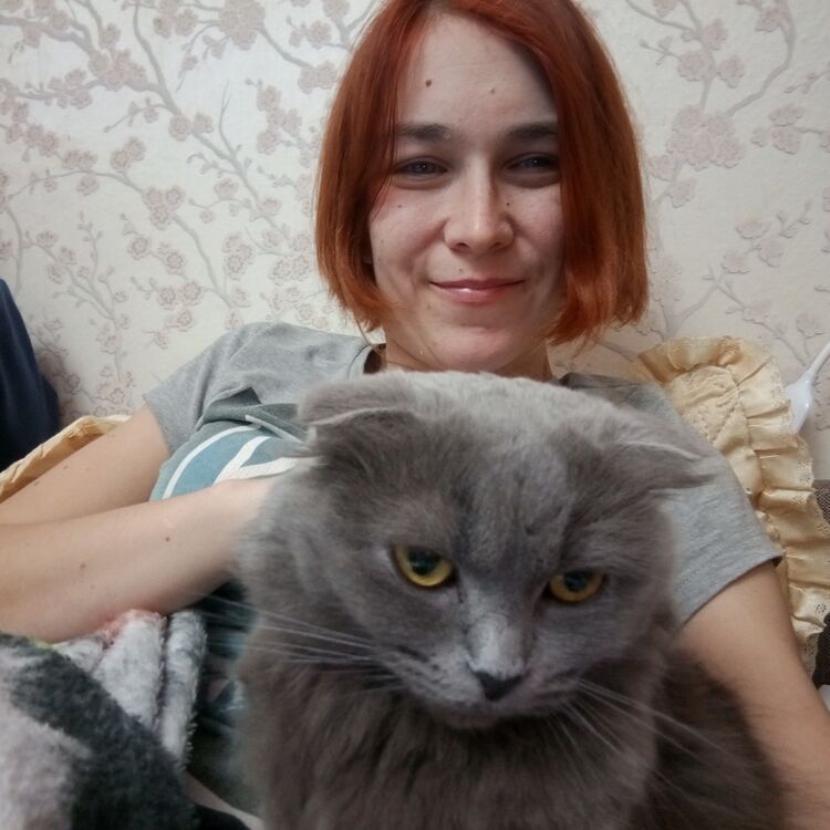 ���� 56112350 ������� ���, 33 ����, ���� ���������� � ���������