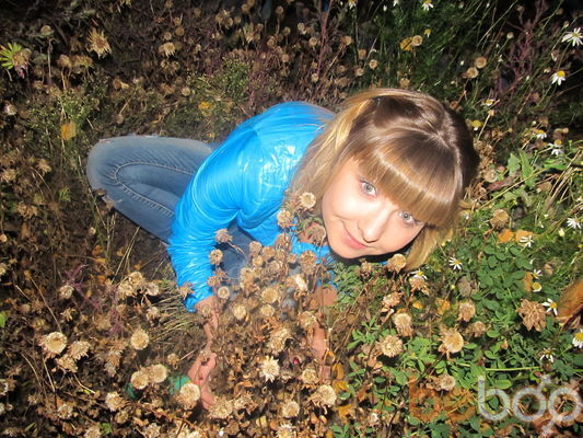 ���������� ����, ���� ������� ���������, 31 ���, ������������ ��� ������