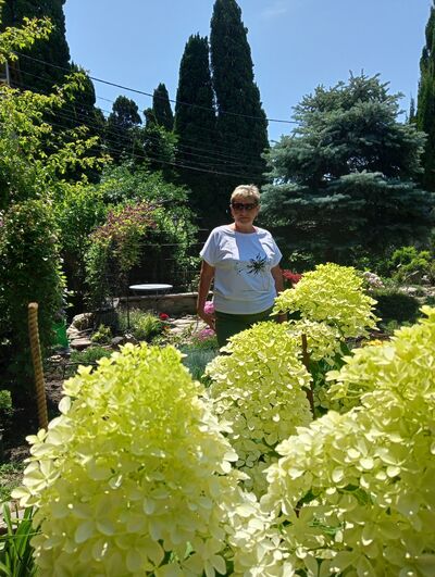  ,   , 59 ,   ,   , c 