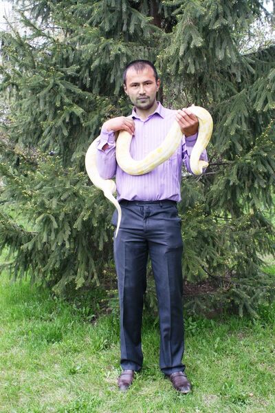  ,   Rustam, 38 ,   